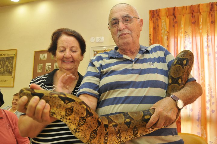 קרין ZOO — גלריית תמונות, תמונה 67 מתוך 145