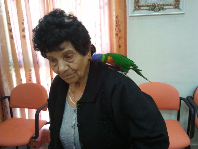 קרין ZOO — גלריית תמונות, תמונה 41 מתוך 145