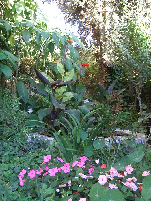 פיתוח וגינון — תמונה 3