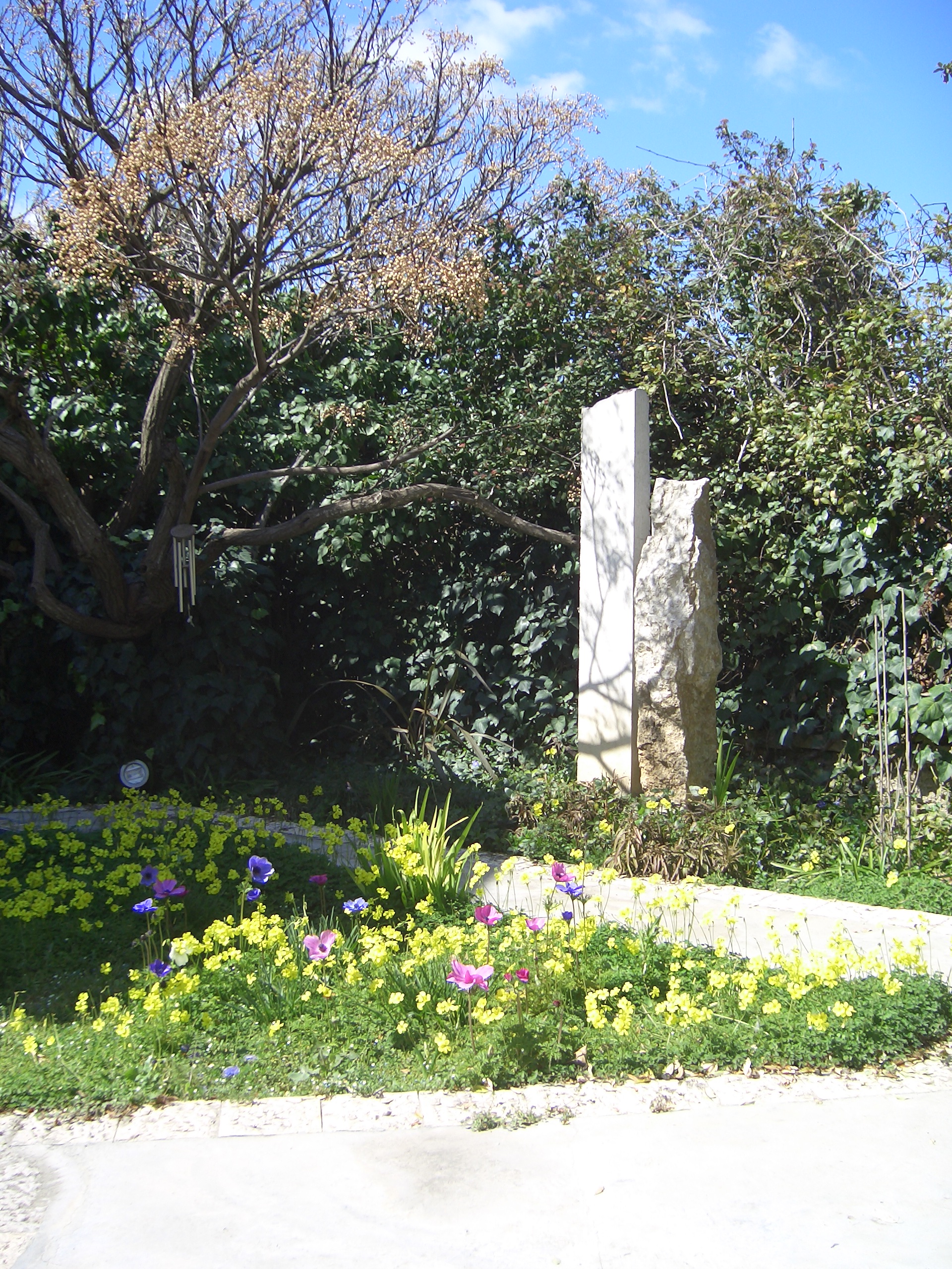 פיתוח וגינון — תמונה 2