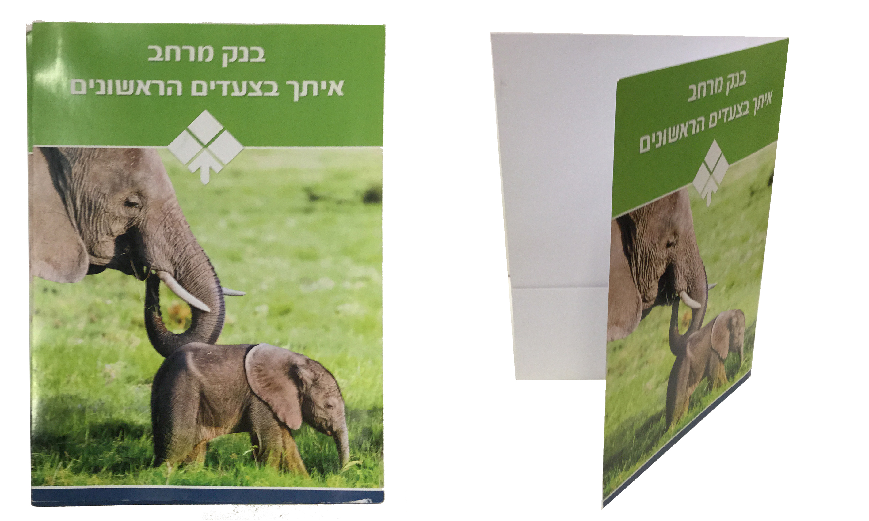 ניירת פרסומית בנקאית