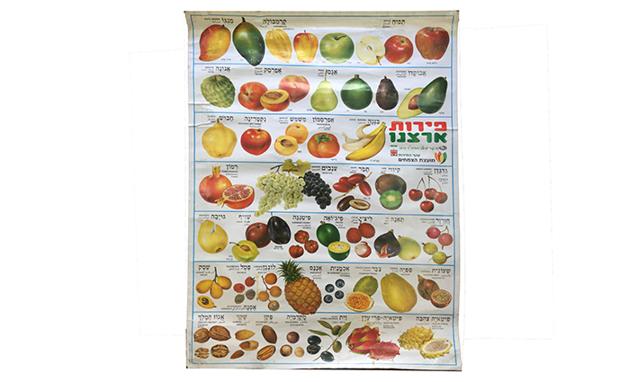 פפי-10 גליון מלא