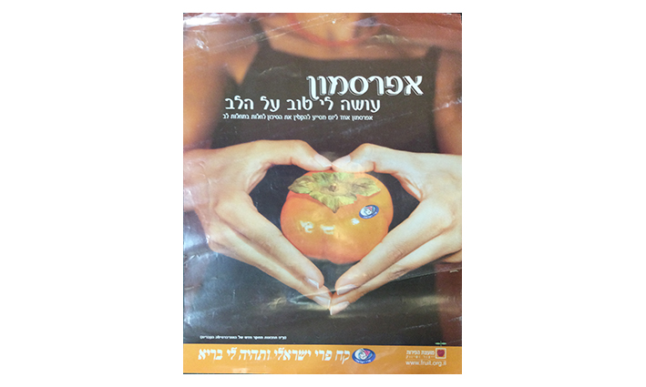 פפי-6 48-65