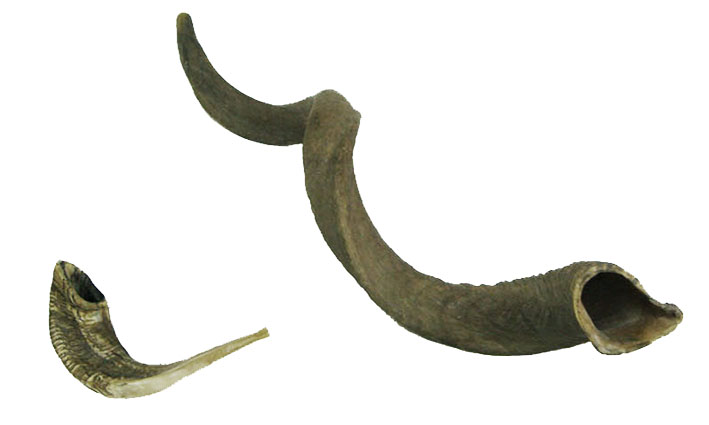 עולם