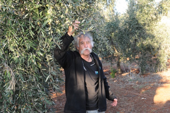 הדרכת טיולים