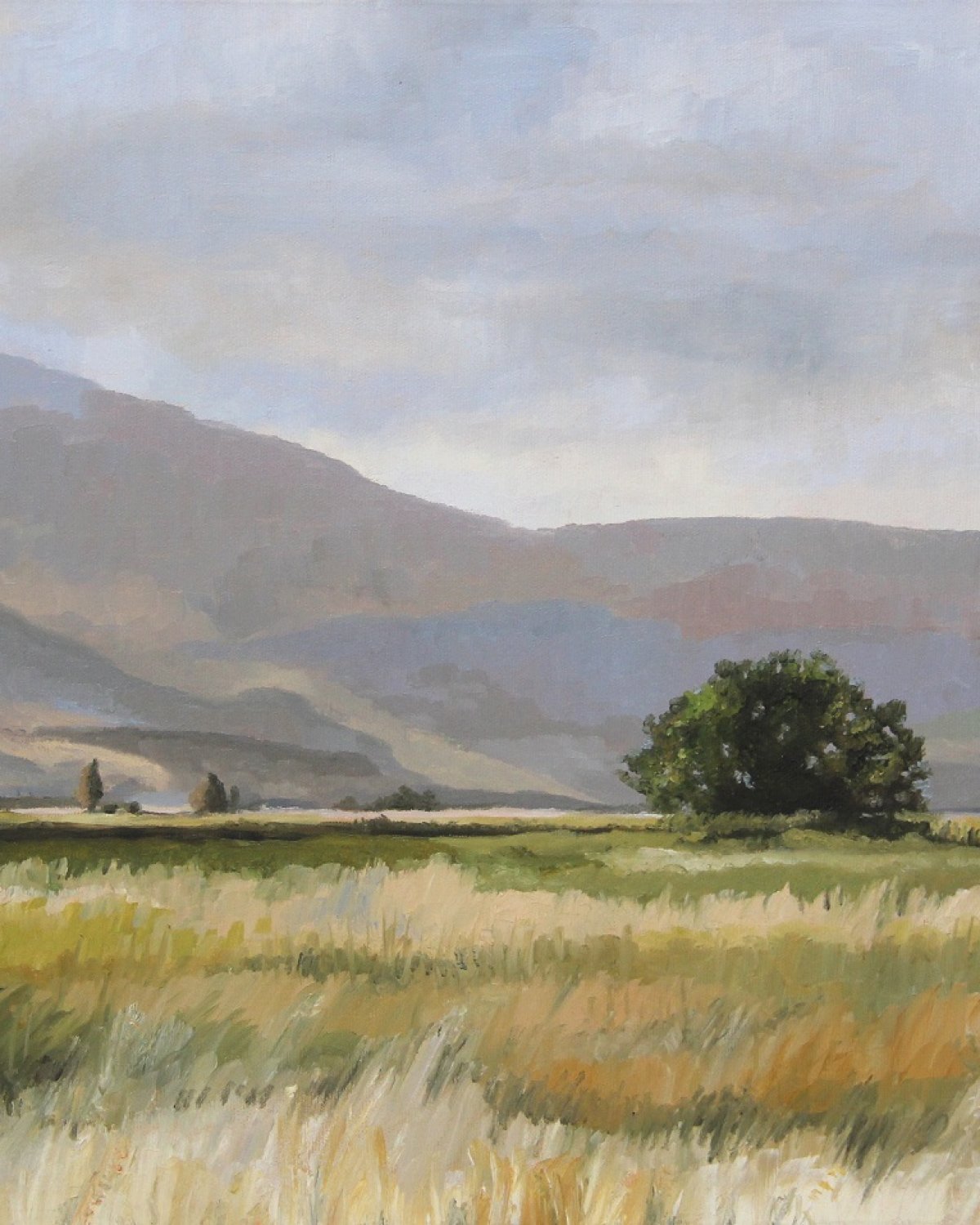 Fields by Limor Mazuz