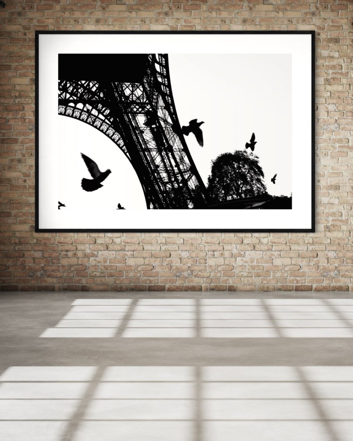 Wings of Birds in Paris — Print on Perspex by Limor Mazuz