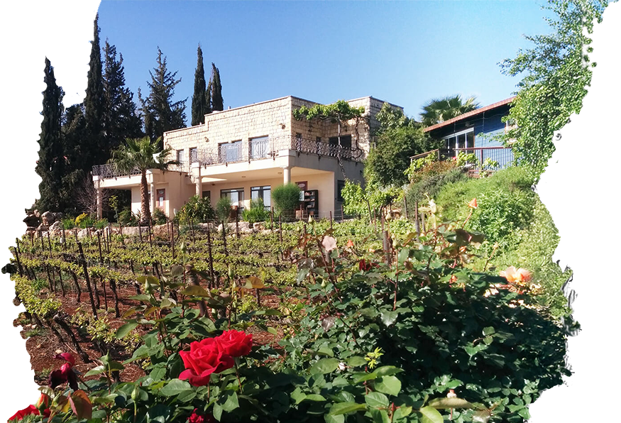 מתחם יקב נעמן ברמות נפתלי