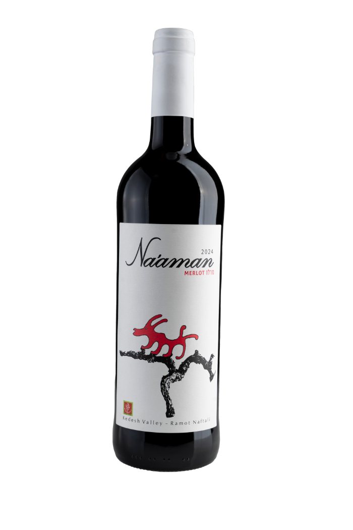 Merlot 2024