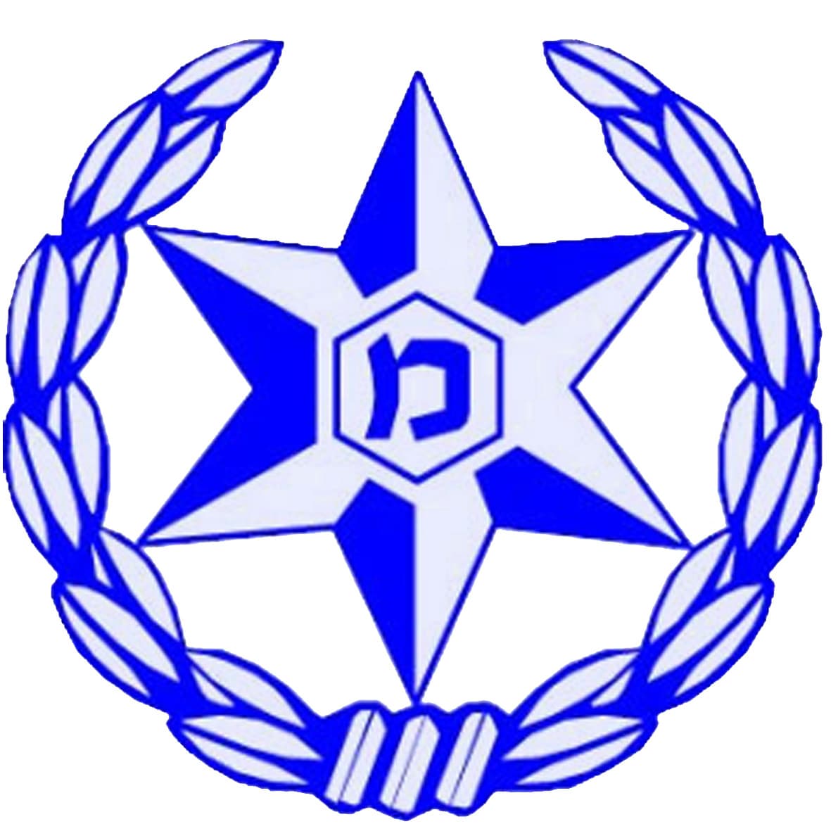משטרת ישראל
