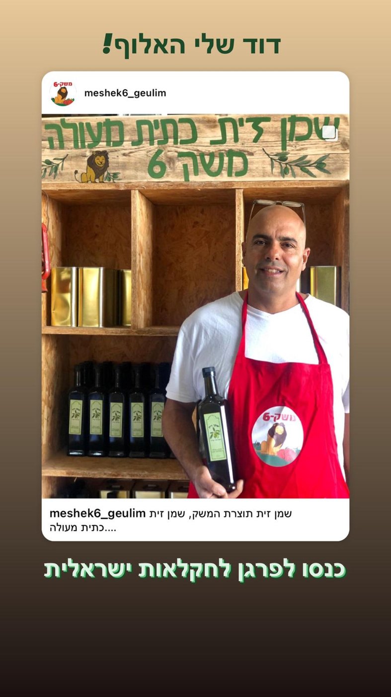 גלריה משק 6