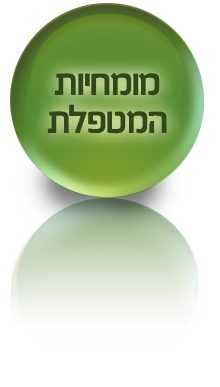 מומחיות המטפלת
