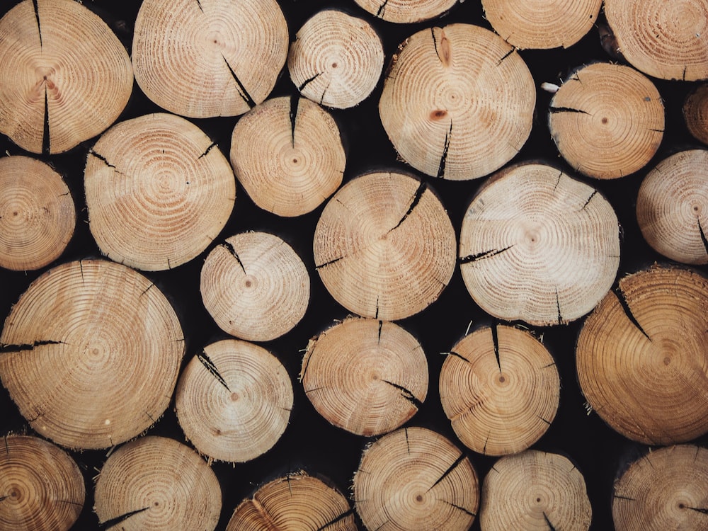 Timber and wooden products