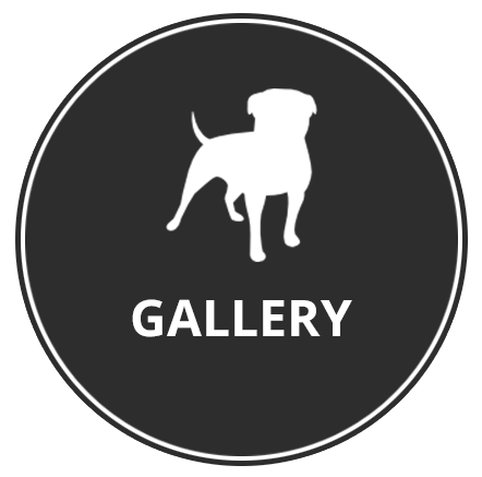 Photo gallery