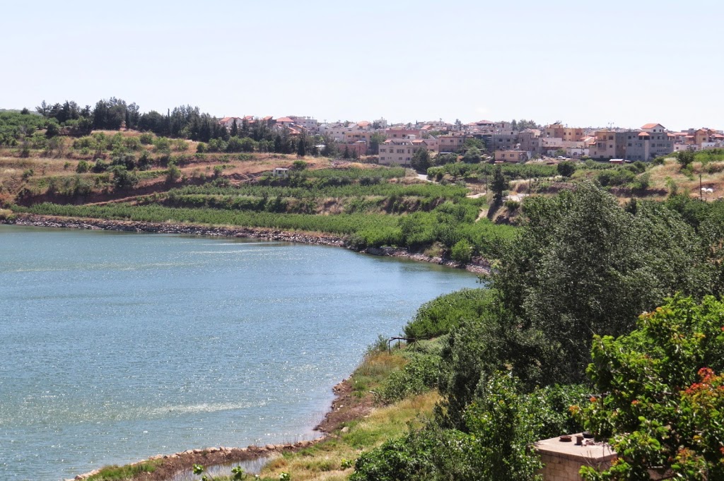 תמונה 8 מתוך סיורים בהדרכת חגי גולן