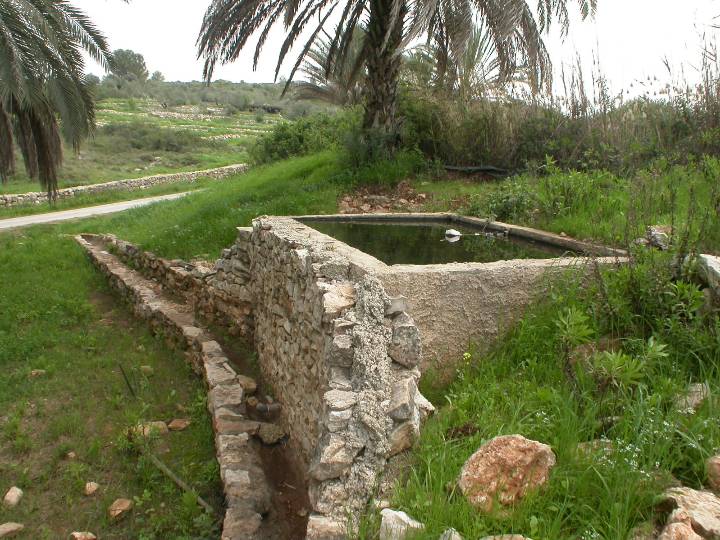 עוזי טאובר מסעות מן הכורסא | נופים ואירועים — תמונה 29
