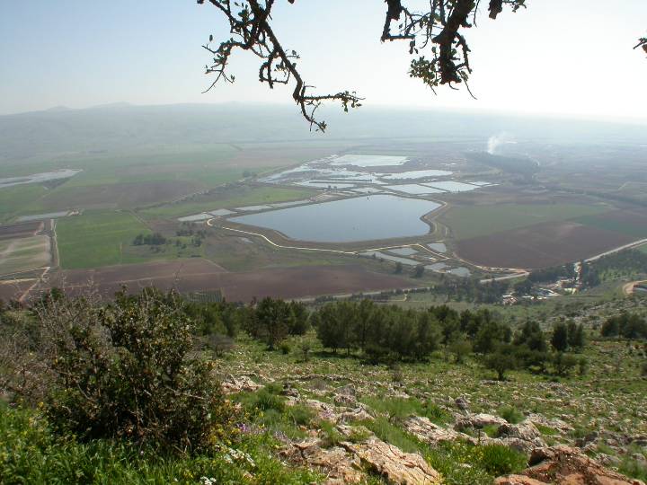 עוזי טאובר מסעות מן הכורסא | ירדן — תמונה 3
