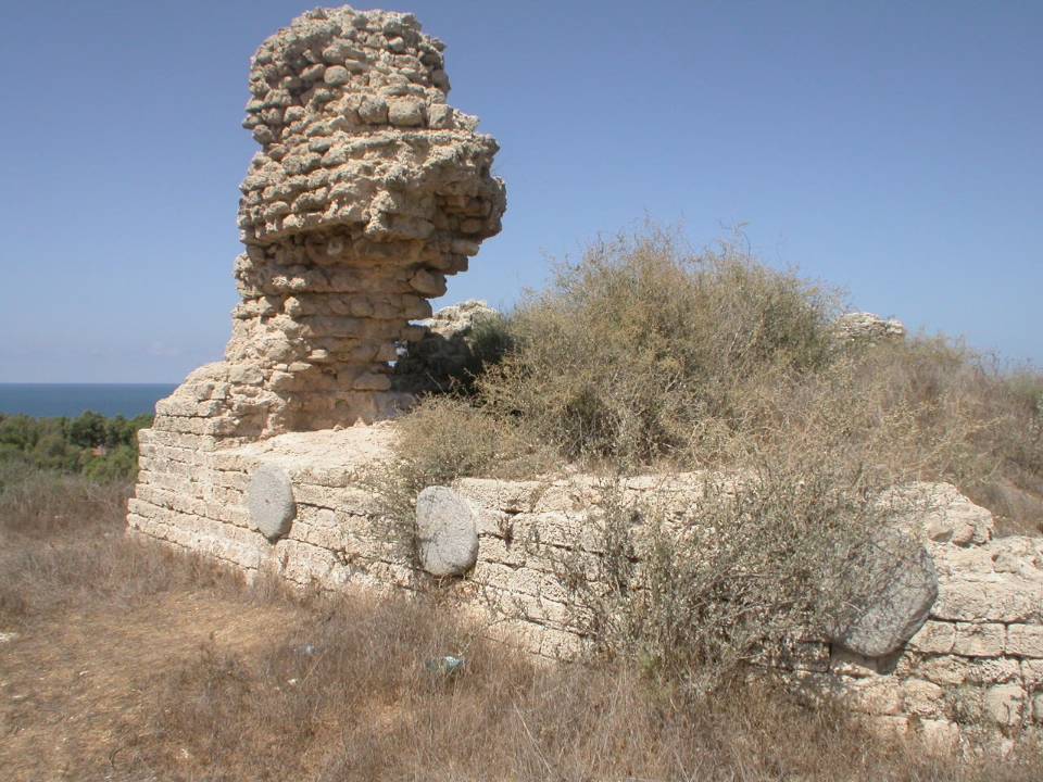 עוזי טאובר מסעות מן הכורסא |ארץ פלשת — תמונה 14