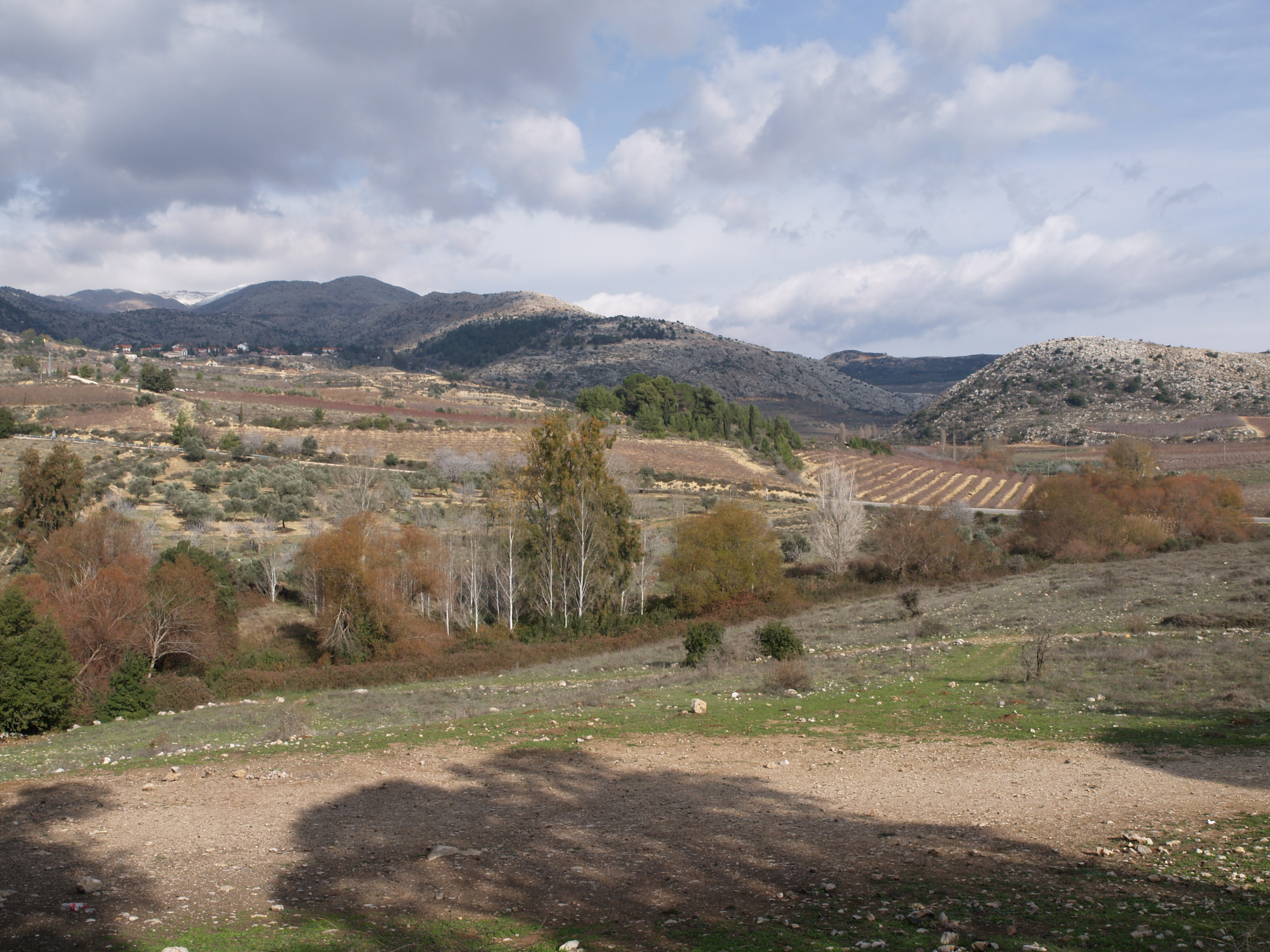עוזי טאובר מסעות מן הכורסא |זה הקטן, גדול היה — תמונה 6