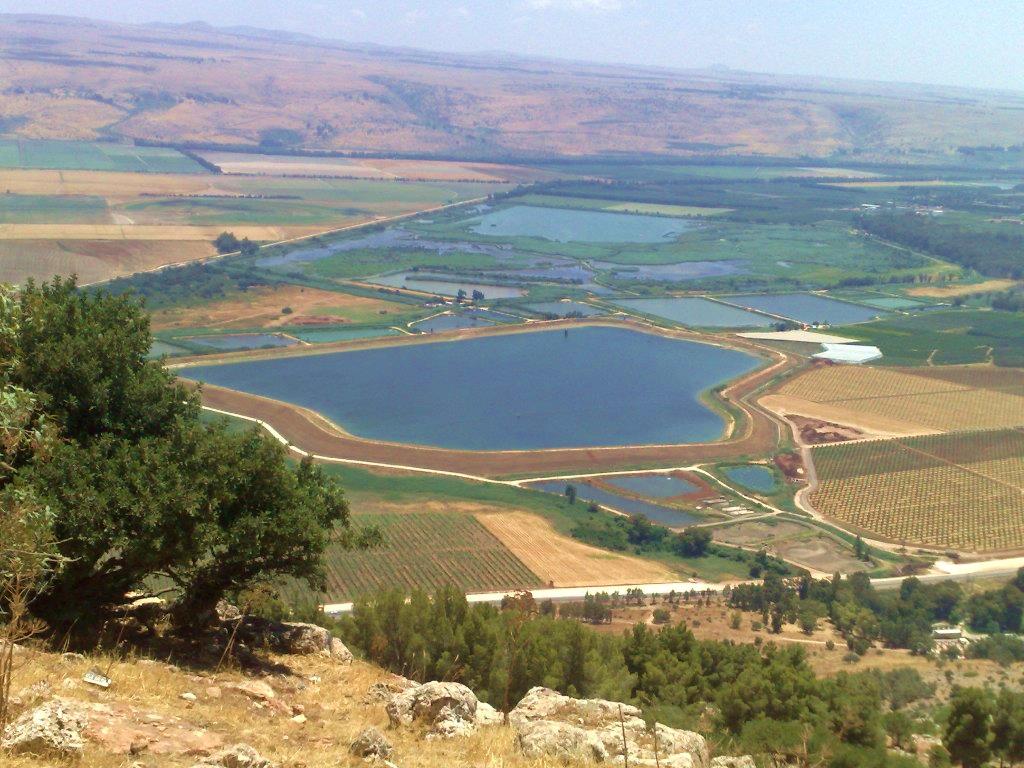 עוזי טאובר מסעות מן הכורסא | ירדן — תמונה 6