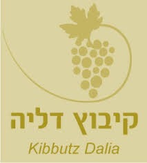 הלקוחות שלי: ימי גיבוש וכנסים