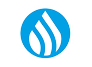 D&I Development and Implementation