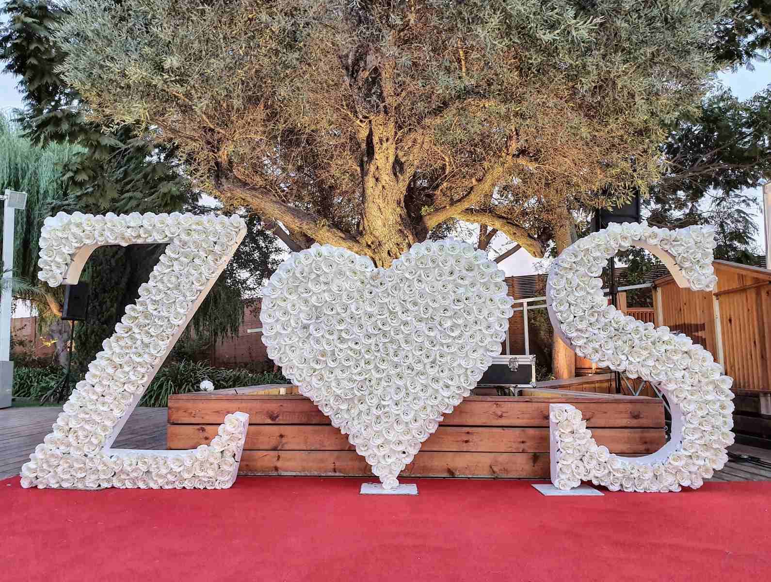 חופה וסלואו 14