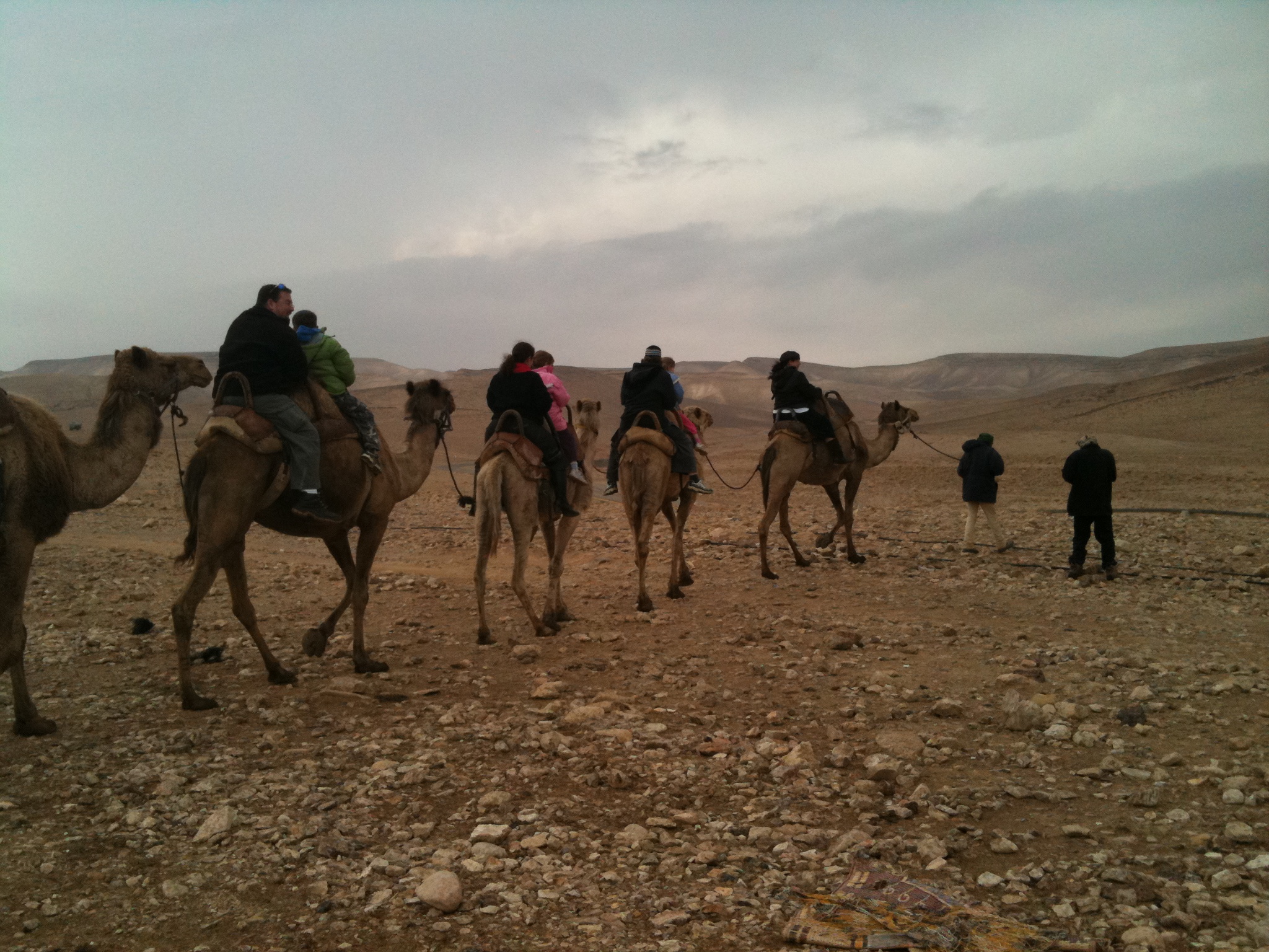 Israeli Tour Guide - Nehama Shofer