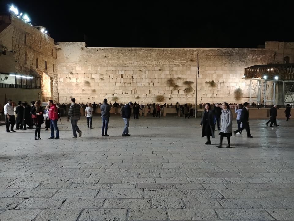 גלריה - תמונה 17