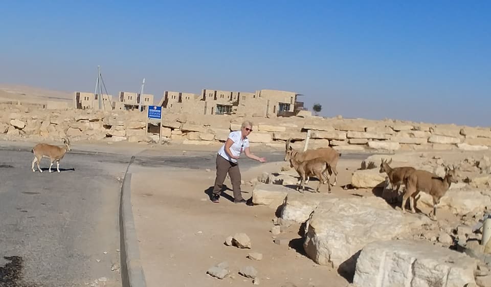 Israeli Tour Guide - Nehama Shofer