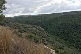 נחל יחיעם