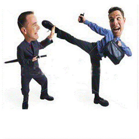 בחירות למועצת העמותה
