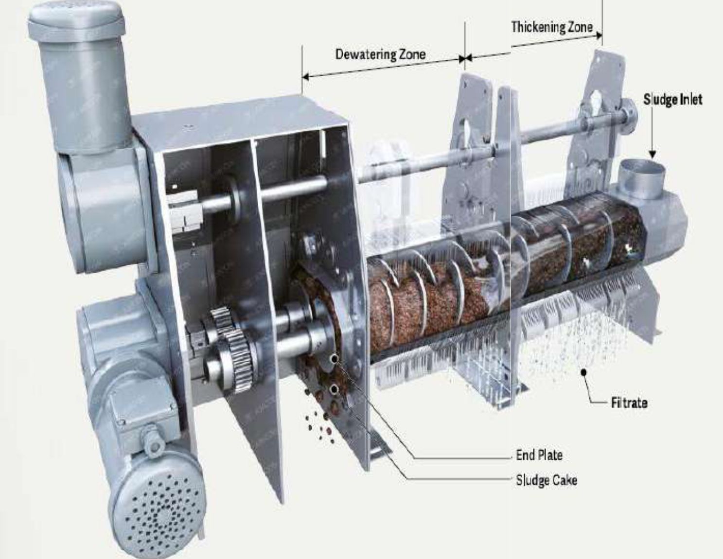 מכבש בורגי VOLUTE DUO לסחיטת בוצה — AMCON