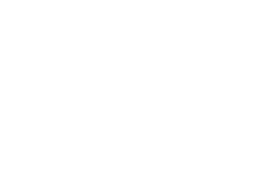 מיטב אלטרנטיב