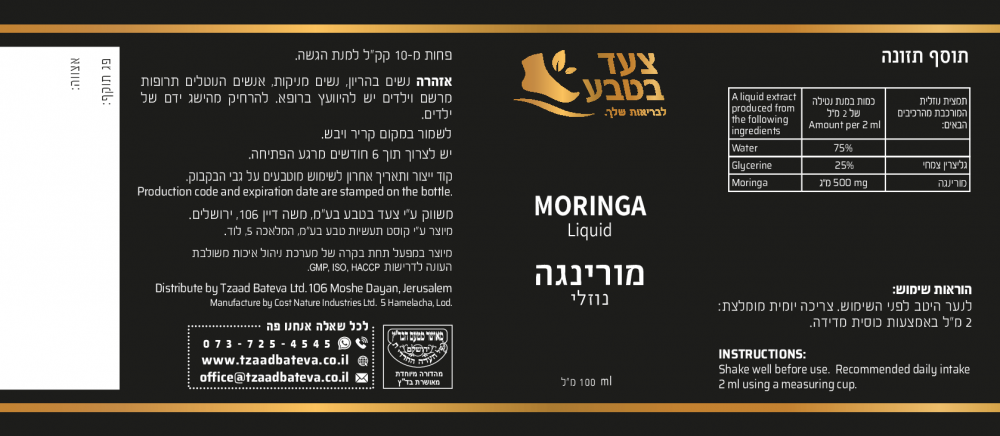 מורינגה
