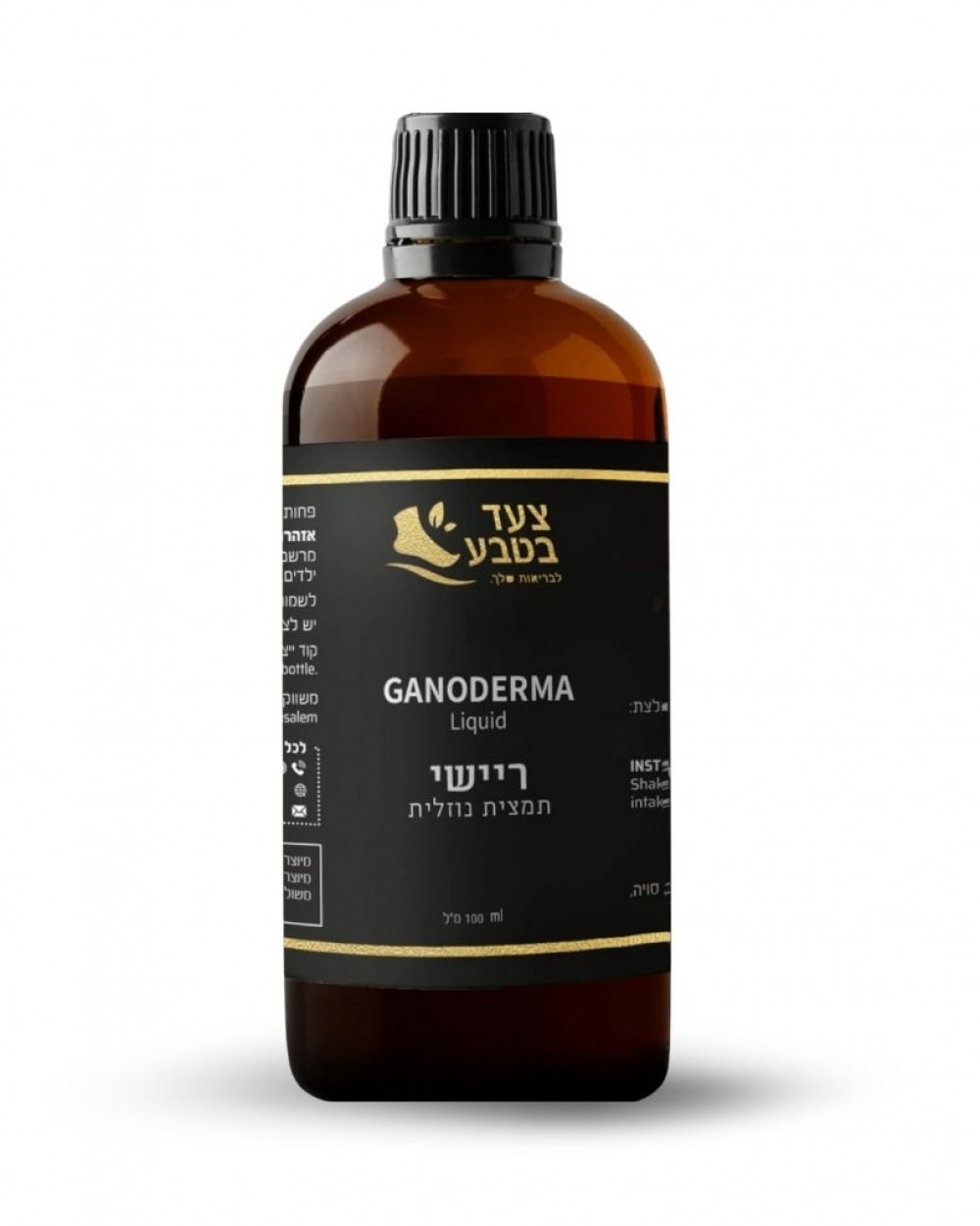 פטריות ריישי