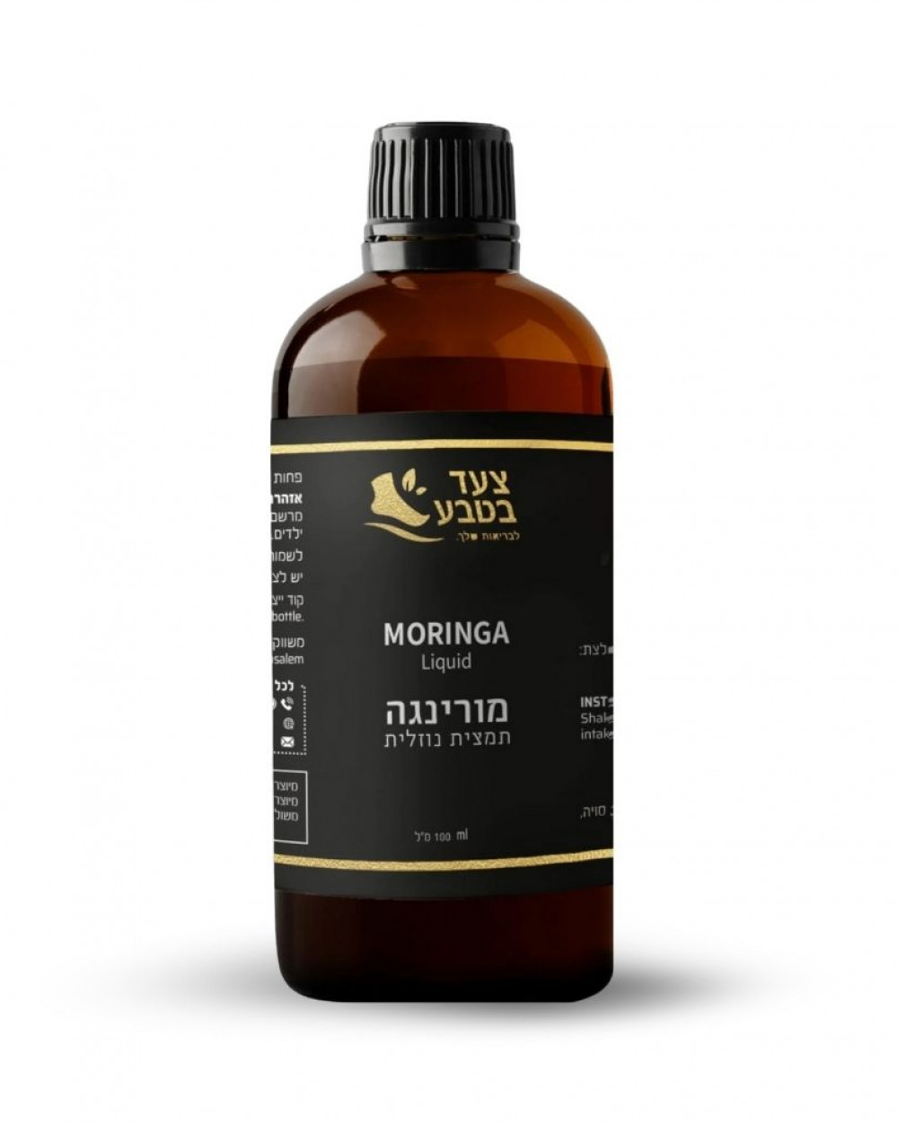 מורינגה