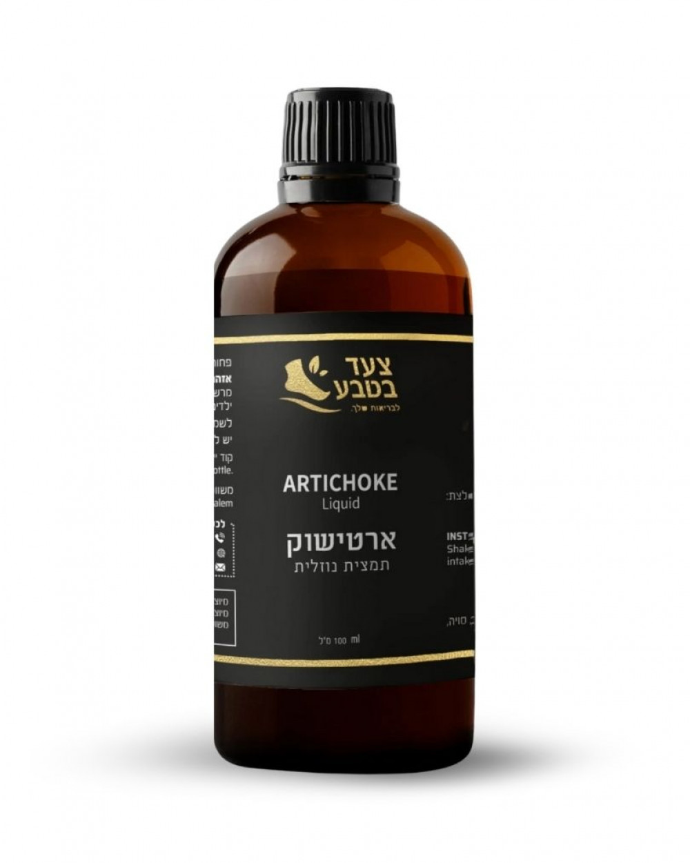 ארטישוק