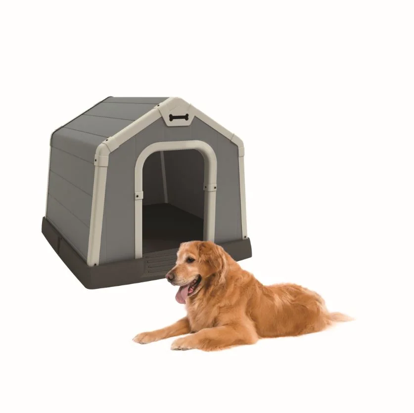 dog house