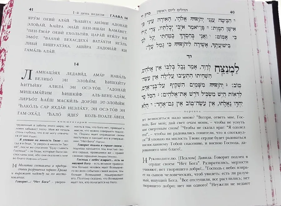 Книга Теилим (Псалмы) Теила леДавид