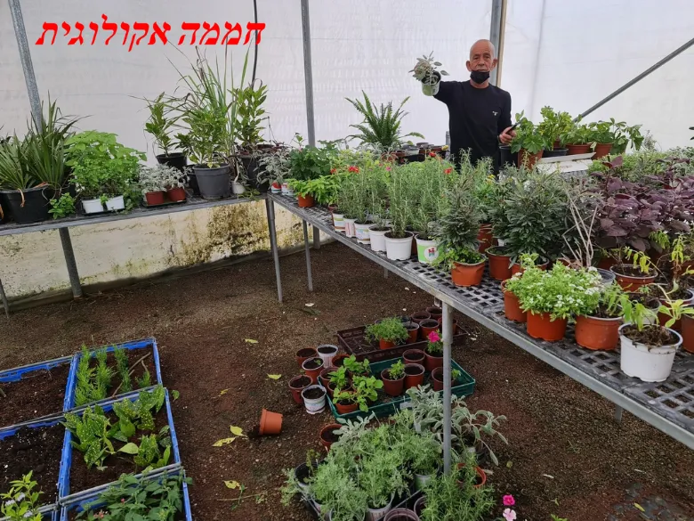 גינון מקצועי ונגרות תרפיה חממה אקולוגית — תמונה 25