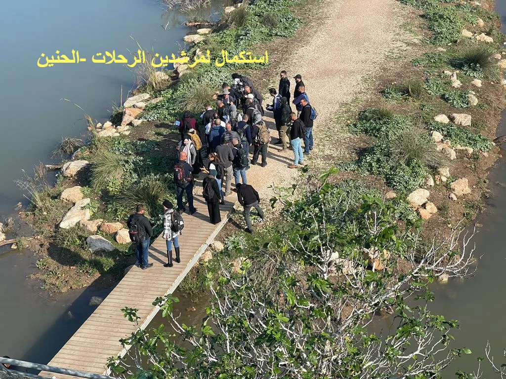 צוות אלחנין