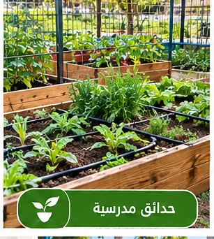 גינת בית ספר — ערוגות מוגבהות עם מערכת השקיה