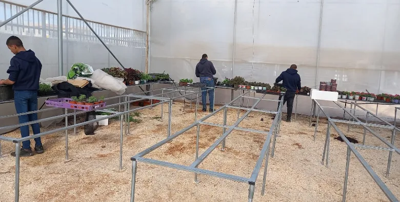 גינון מקצועי ונגרות תרפיה חממה אקולוגית — תמונה 3