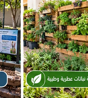 צמחי תבלין ומרפא — קיר שתילה אנכי בגינה הלימודית