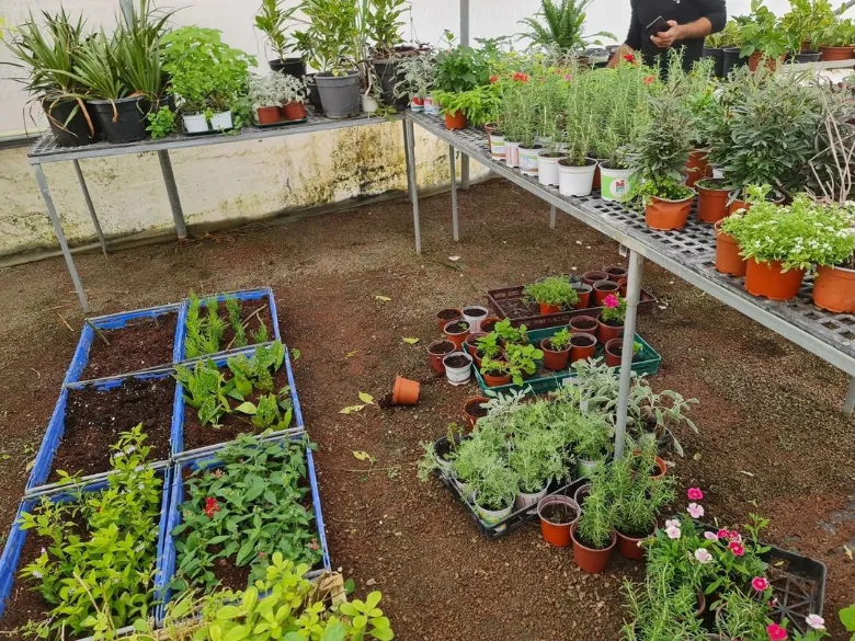 גינון מקצועי ונגרות תרפיה חממה אקולוגית — תמונה 30