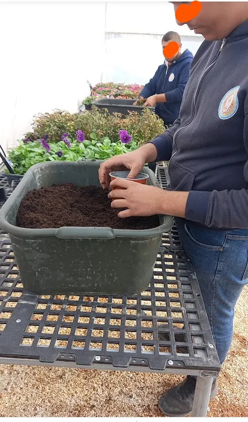 גינון מקצועי ונגרות תרפיה חממה אקולוגית — תמונה 4