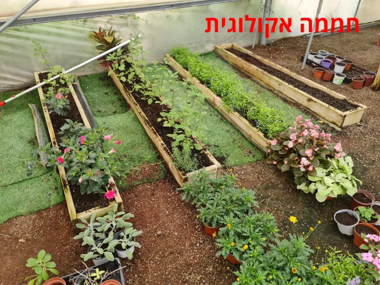 גינון מקצועי ונגרות תרפיה חממה אקולוגית — תמונה 27