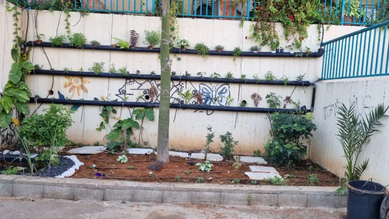 גינון מקצועי ונגרות תרפיה חממה אקולוגית — תמונה 22