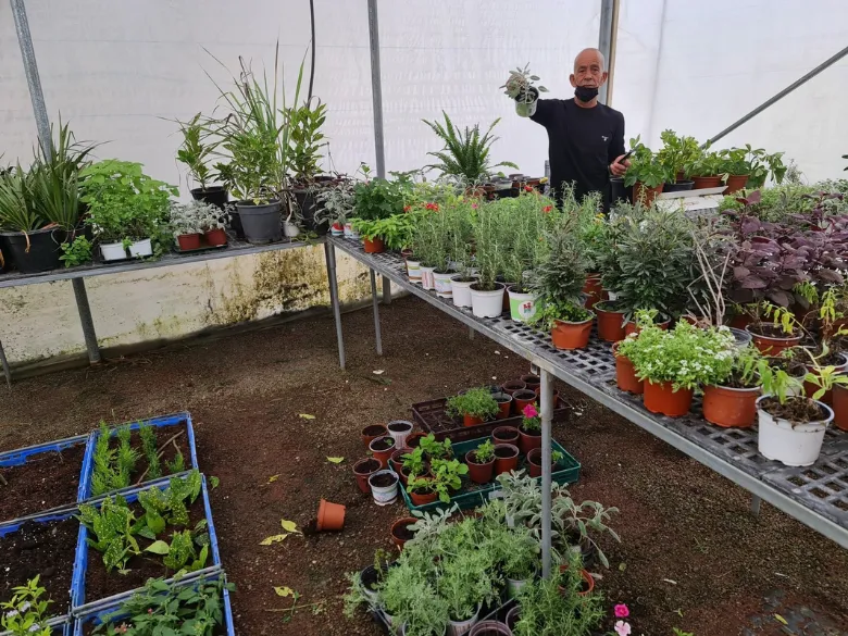 גינון מקצועי ונגרות תרפיה חממה אקולוגית — תמונה 32